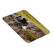Herdwick Sheep Magnet (Rechte Seite)