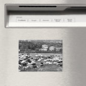 Herdwick Sheep Magnet (In Situ (Geschirrspüler))