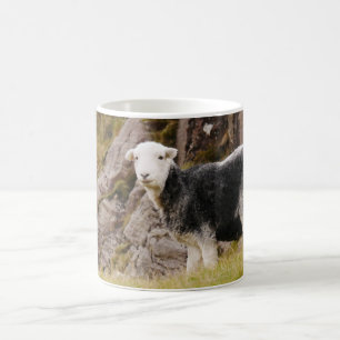 Herdwick Sheep Tasse