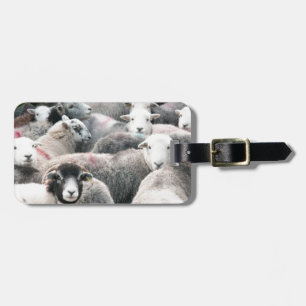 Herdwicks bei Buttermere Gepäckanhänger