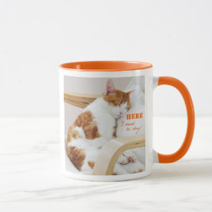 Here I want to stay! - Katzen Foto Kaffeetasse