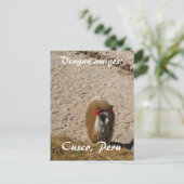 Here llama postkarte (Stehend Vorderseite)
