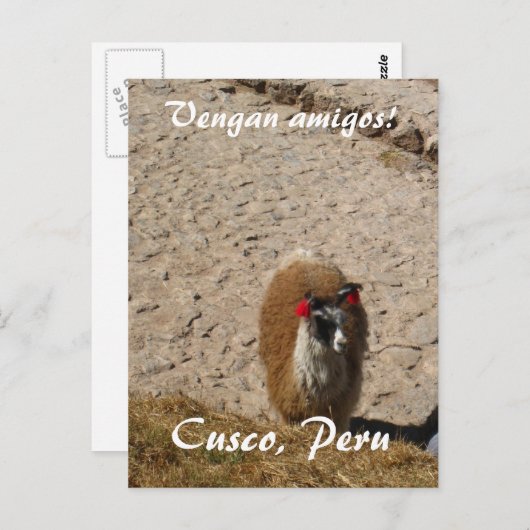 Here llama postkarte (Vorne/Hinten)