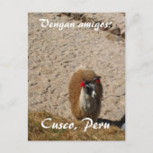 Here llama postkarte (Vorderseite)