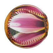 Hereford Baseball (Vorderseite Links)