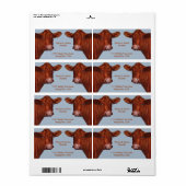 Hereford Beef Couple: Original Oil Pastel Art (Vorne)