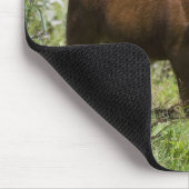 Hereford calf (Bos taurus) in der Prärie Mousepad (Ecke)