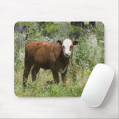 Hereford calf (Bos taurus) in der Prärie Mousepad (Mit Mouse)