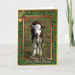 Hereford Calf Cow Blank Christmas Card Feiertagskarte