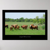 Hereford Cattle Poster Print (Vorne)