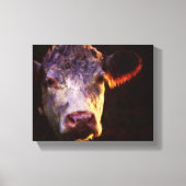 Hereford Cow Leinwand Art (Vorderseite)