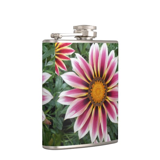 Hereford Flachmann (Rechts)