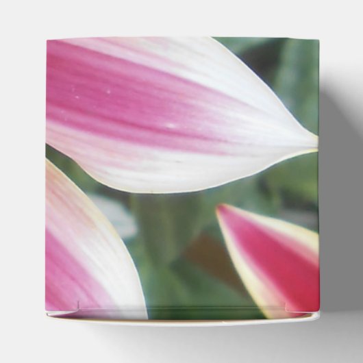 Hereford Geschenkschachtel (Oben)