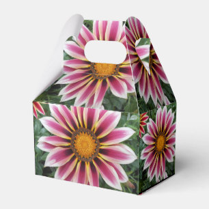 Hereford Geschenkschachtel