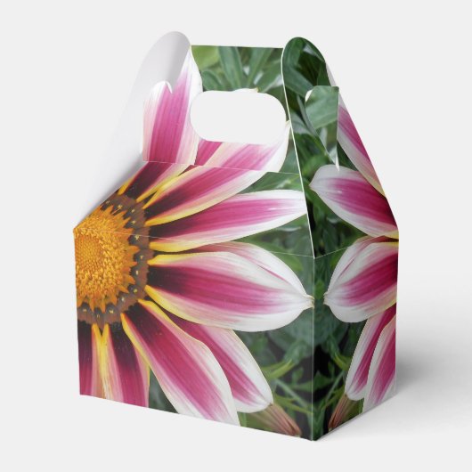Hereford Geschenkschachtel (Vorderseite)