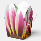 Hereford Geschenkschachtel (Geöffnet)