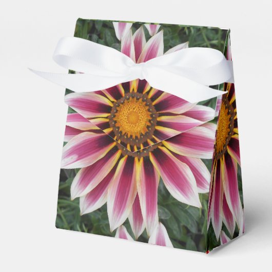Hereford Geschenkschachtel (Vorderseite)