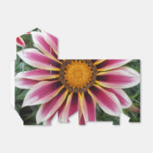 Hereford Geschenkschachtel (Ungefaltet)