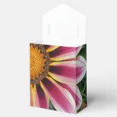 Hereford Geschenkschachtel (Geöffnet)