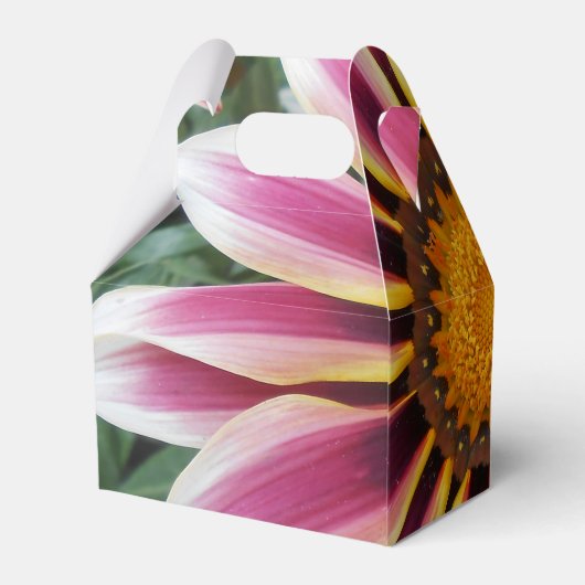 Hereford Geschenkschachtel (Rückseite)