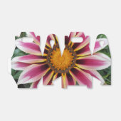 Hereford Geschenkschachtel (Ungefaltet)