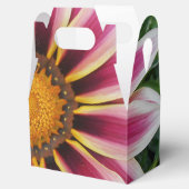 Hereford Geschenkschachtel (Geöffnet)