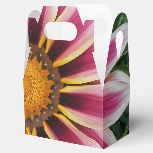 Hereford Geschenkschachtel (Geöffnet)