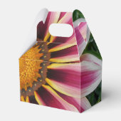 Hereford Geschenkschachtel (Vorderseite)