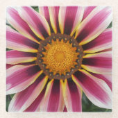 Hereford Glasuntersetzer (Vorderseite)