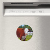 HEREFORD HEIFER COW ART MAGNET (In Situ (Geschirrspüler))