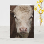 Hereford Karte (Gelbe Blume)