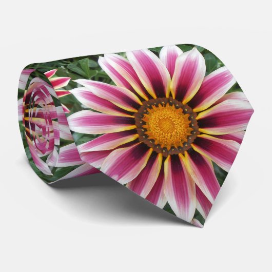 Hereford Krawatte (Gerollt)