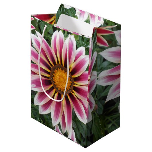 Hereford Mittlere Geschenktüte (Vorderseite Schrägansicht)