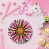 Hereford Pappteller (Party)