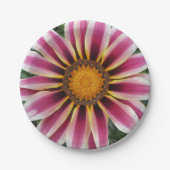 Hereford Pappteller (Vorderseite)