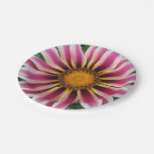 Hereford Pappteller (Schrägansicht)