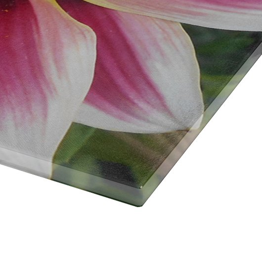 Hereford Schneidebrett (Ecke)