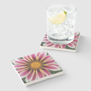 Hereford Steinuntersetzer