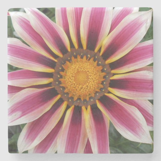 Hereford Steinuntersetzer (Vorderseite)