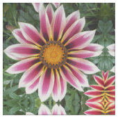 Hereford Stoff (Nahaufnahme)