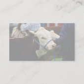 Hereford Vieh Visitenkarte (Rückseite)