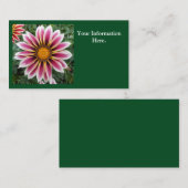 Hereford Visitenkarte (Vorne/Hinten)