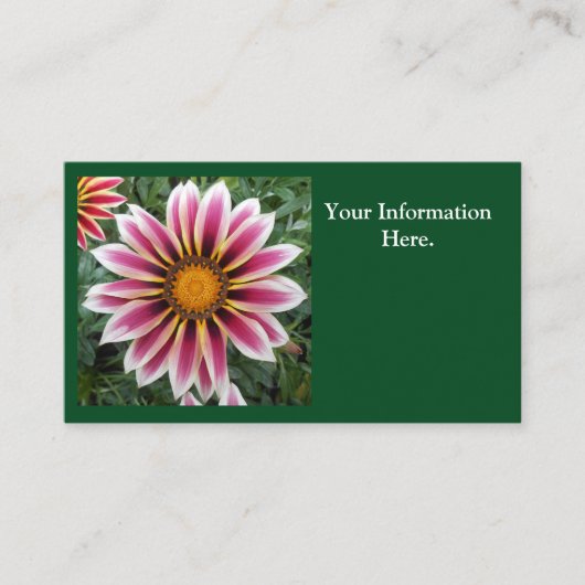 Hereford Visitenkarte (Vorderseite)