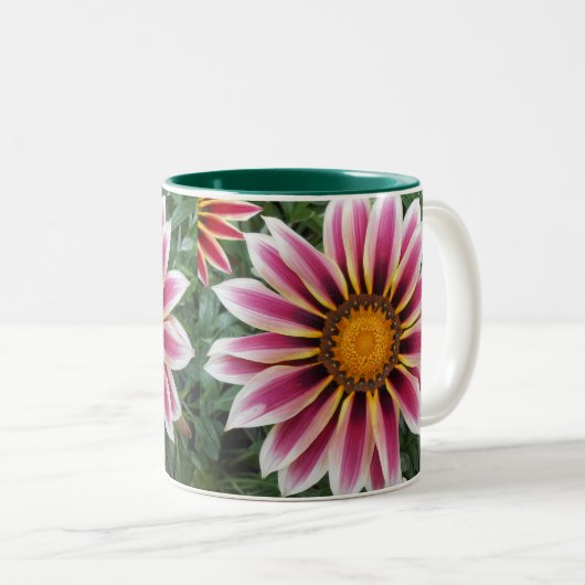 Hereford Zweifarbige Tasse (VorderseiteRechts)