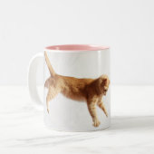 Herein dort hängen zweifarbige tasse (Vorderseite Links)