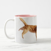 Herein dort hängen zweifarbige tasse (Links)