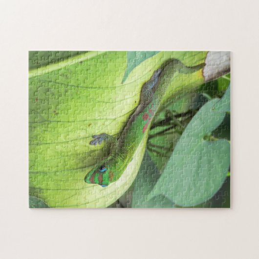 Herein mischen puzzle (Horizontal)