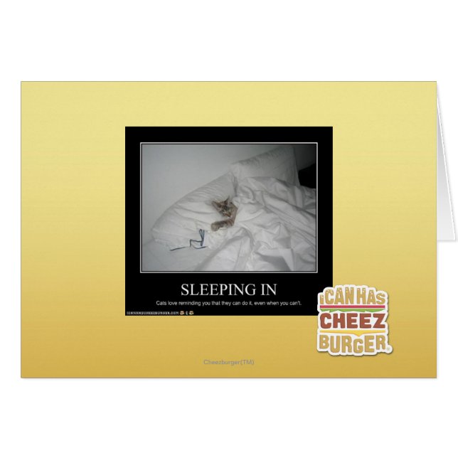 Herein schlafen (Vorderseite (Horizontal))