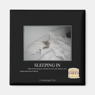 Herein schlafen magnet