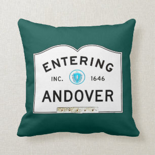 Hereinkommendes Andover Kissen
